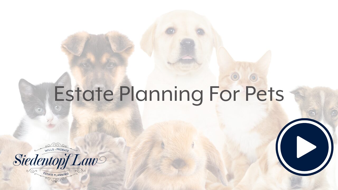 Siedentopf-templates-3-1